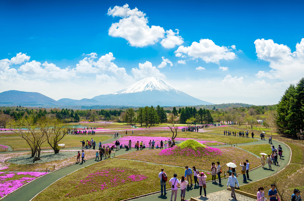 Spring Festival