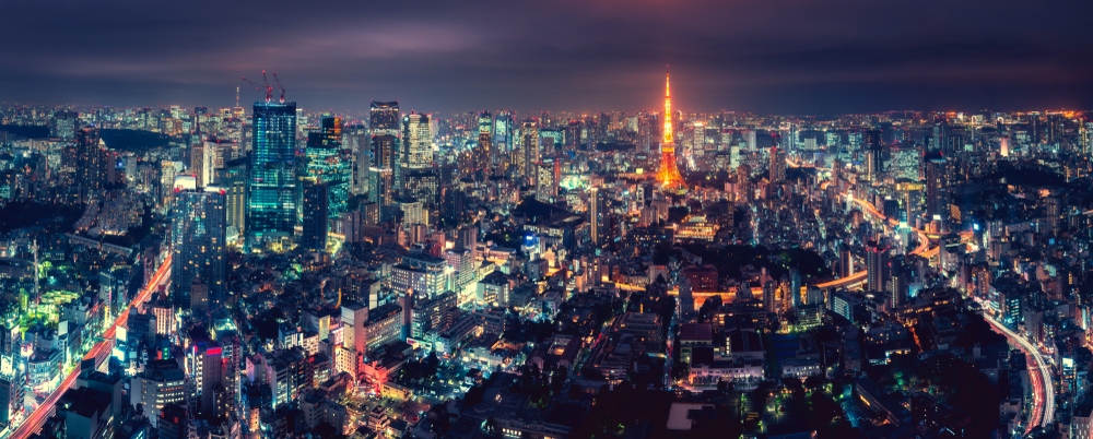 Tokyo panorama view